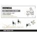 Honda Accord 10th / Civic 10th FC / CR-V 5th Front Lower Ball Joint Hardrace Q1103
